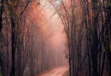 卡佩罗：米兰无缘欧冠是不可接受的 全队仅普利.