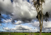 火狐体育：西蒙尼：有些东西无法隐藏 马竞防高空球不给力.